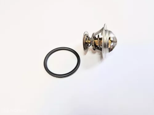 Thermostaat Volvo 31319608