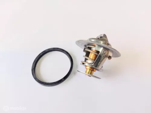 Thermostaat Volvo Amazon 142 144 145 164 P1800 544 210